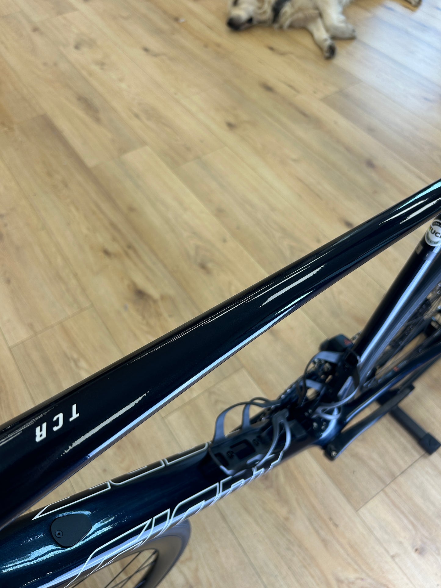 250km Giant TCR Advanced 1+ Di2 Carbon Racefiets