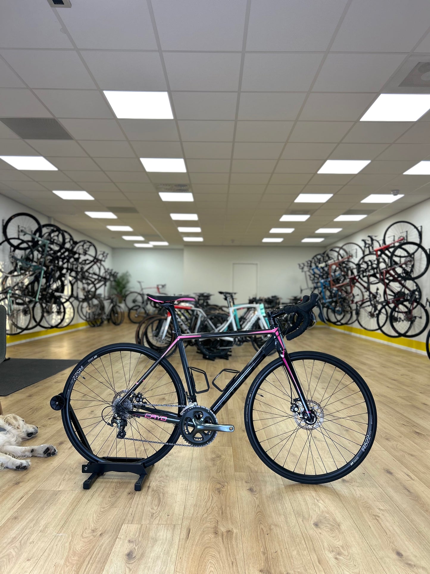Focus Cayo Disc Racefiets
