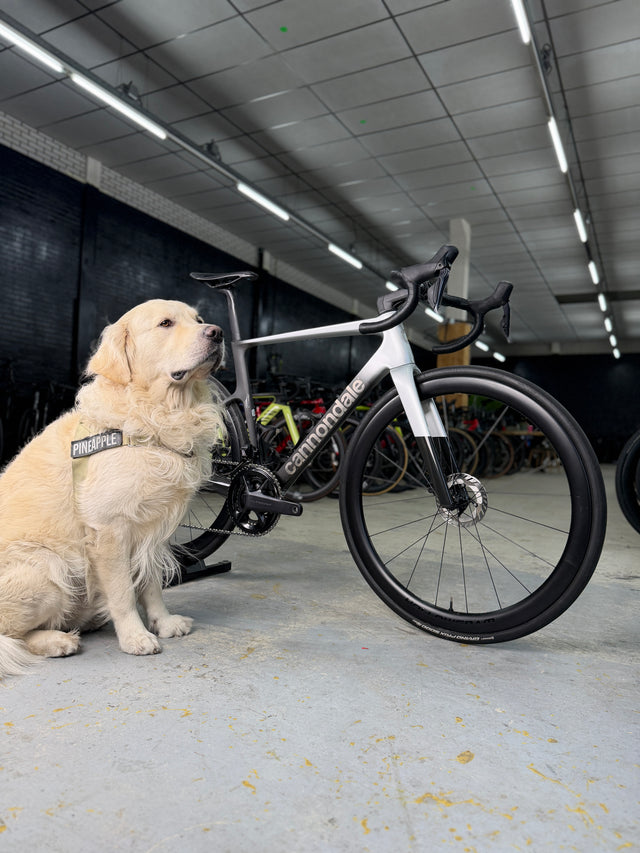 Cannondale SuperSix EVO Hi-MOD Di2 Carbon Racefiets