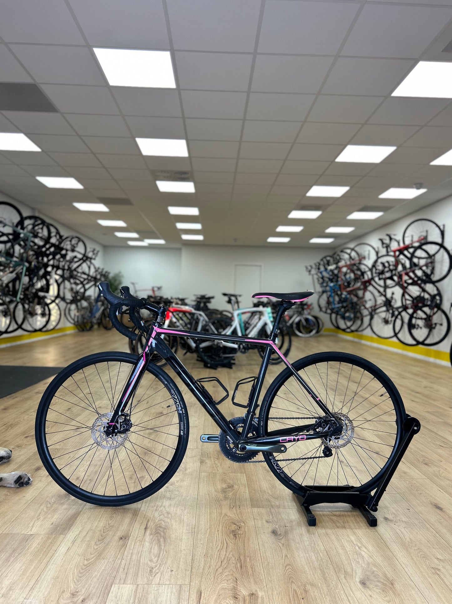 Focus Cayo Disc Racefiets