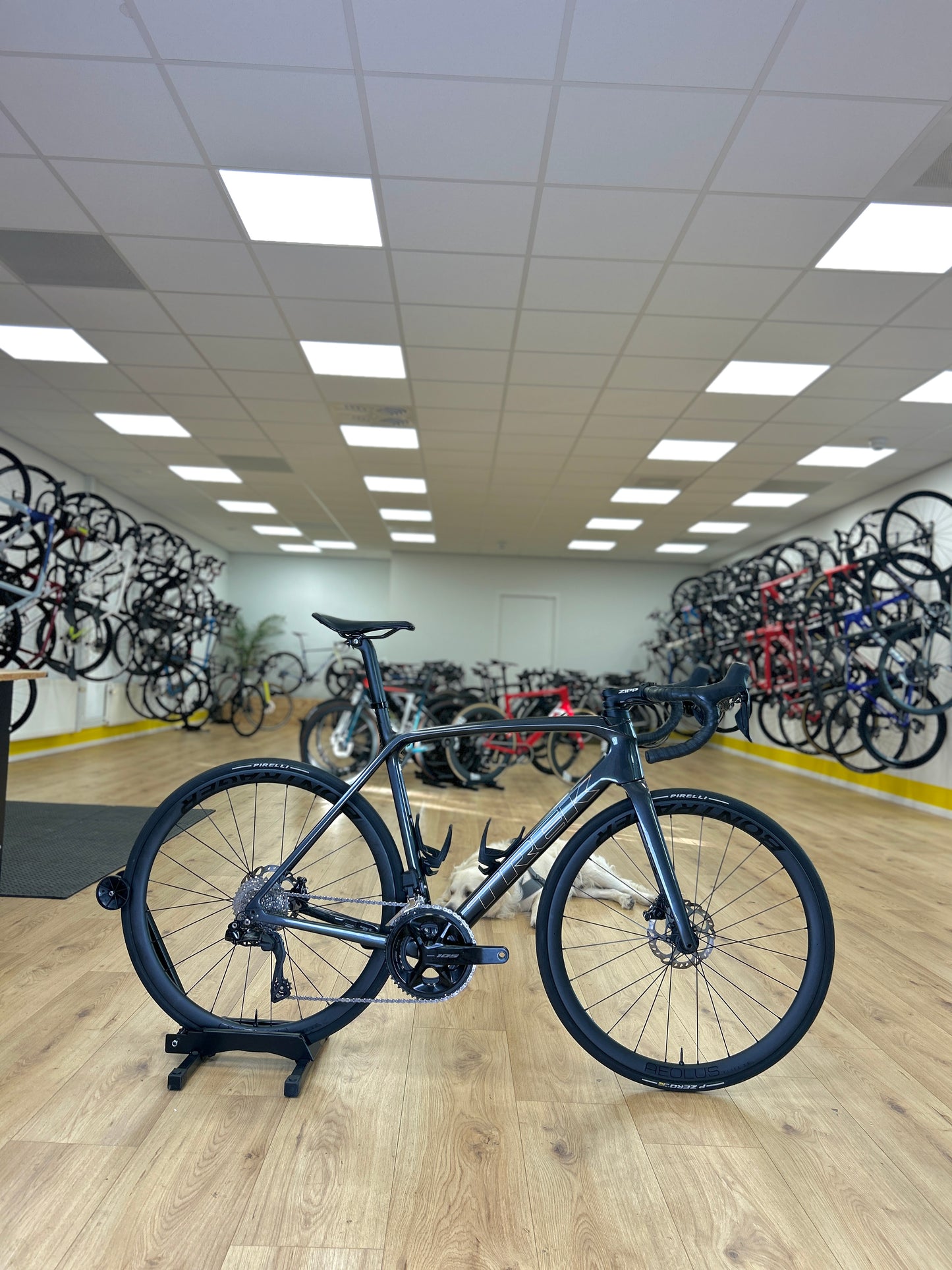 250km Trek Émonda SL6 Di2 Carbon Racefiets