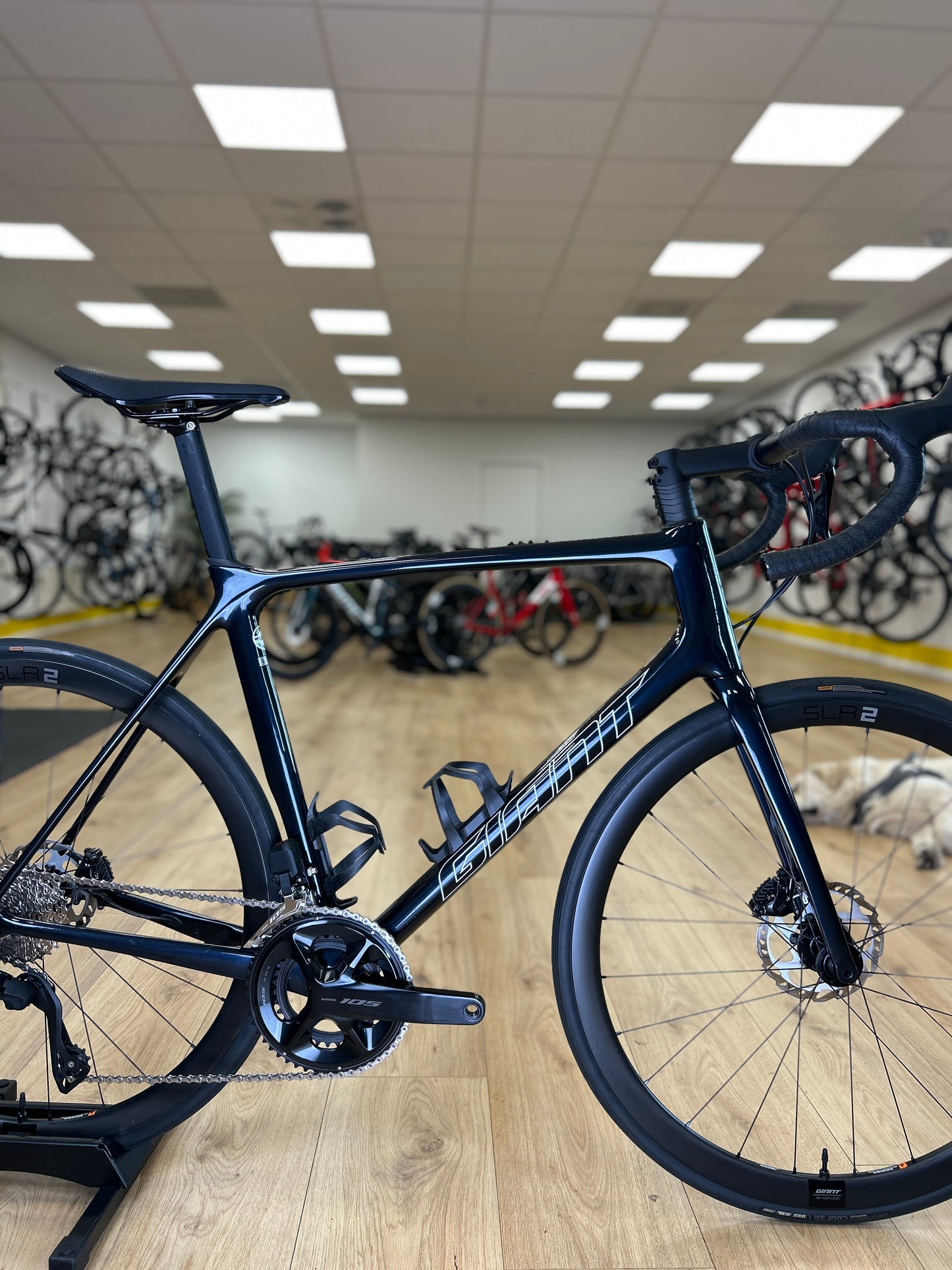 250km Giant TCR Advanced 1+ Di2 Carbon Racefiets