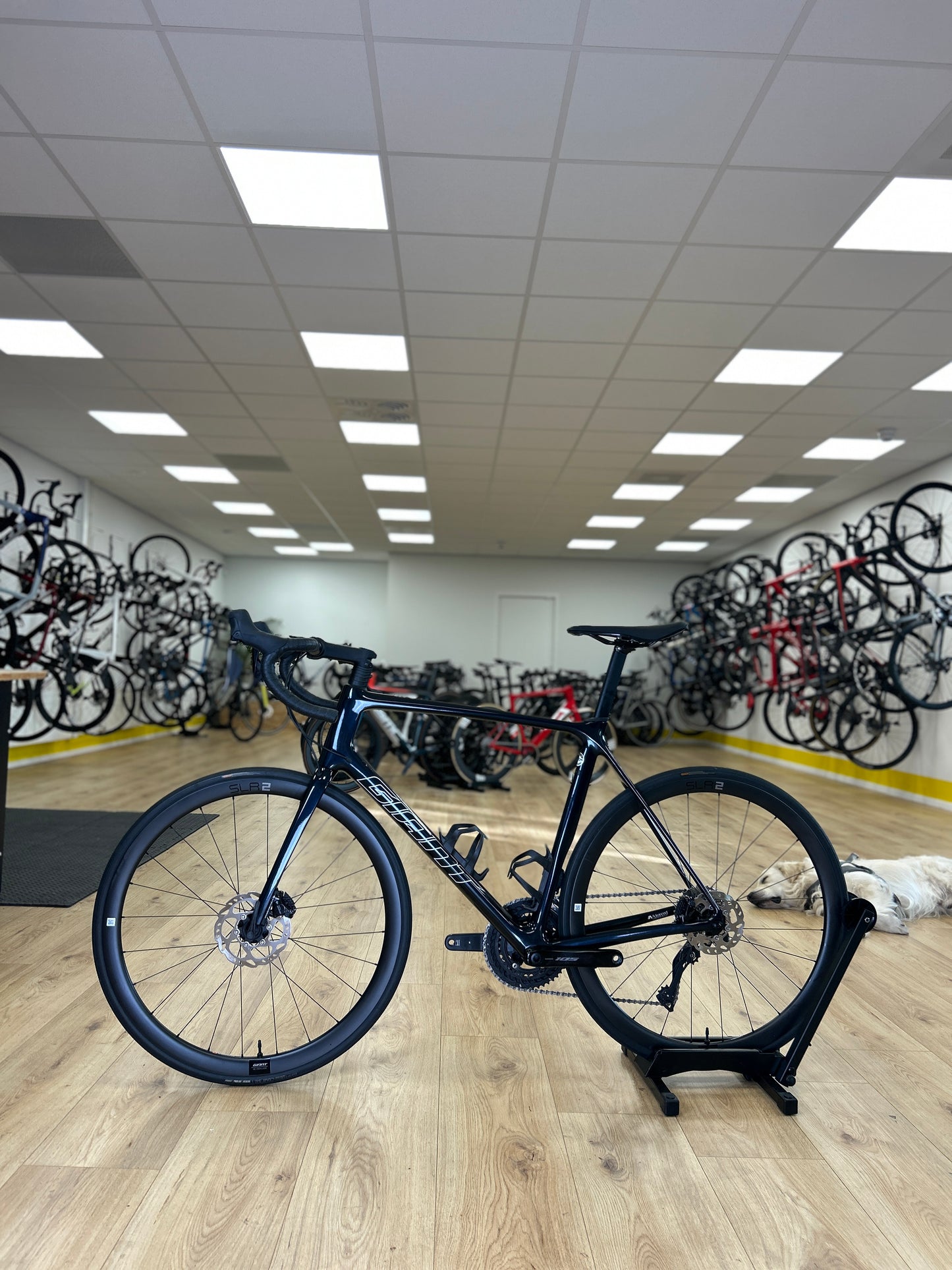 250km Giant TCR Advanced 1+ Di2 Carbon Racefiets