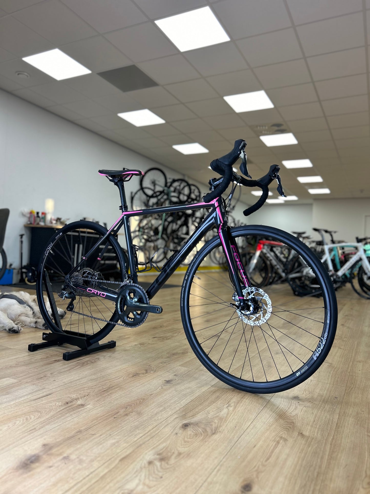 Focus Cayo Disc Racefiets