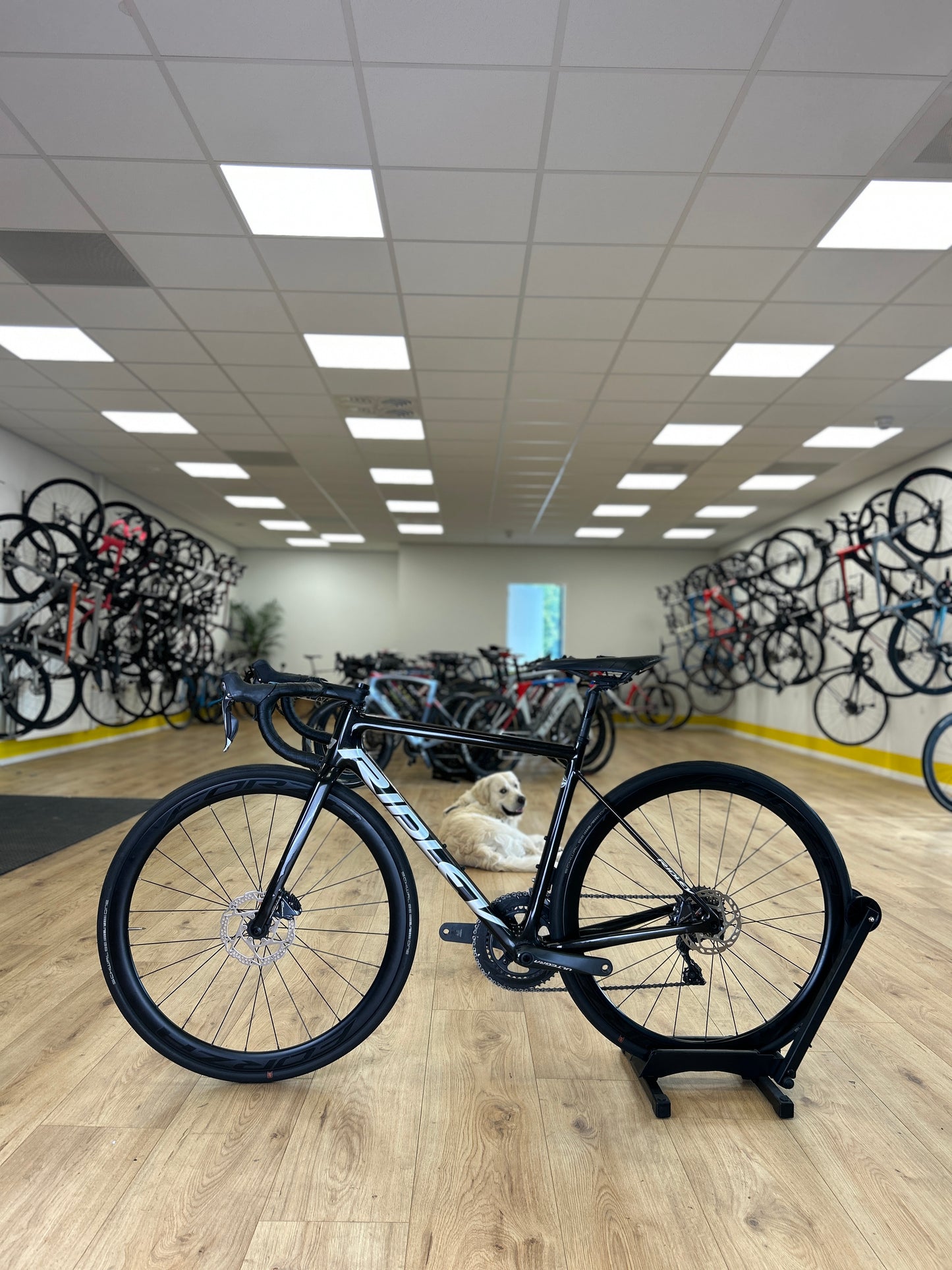 Ridley Helium Ultegra Di2 Carbon Racefiets