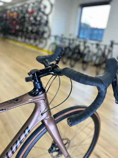 Specialized Ruby Carbon Ultegra Disc Racefiets