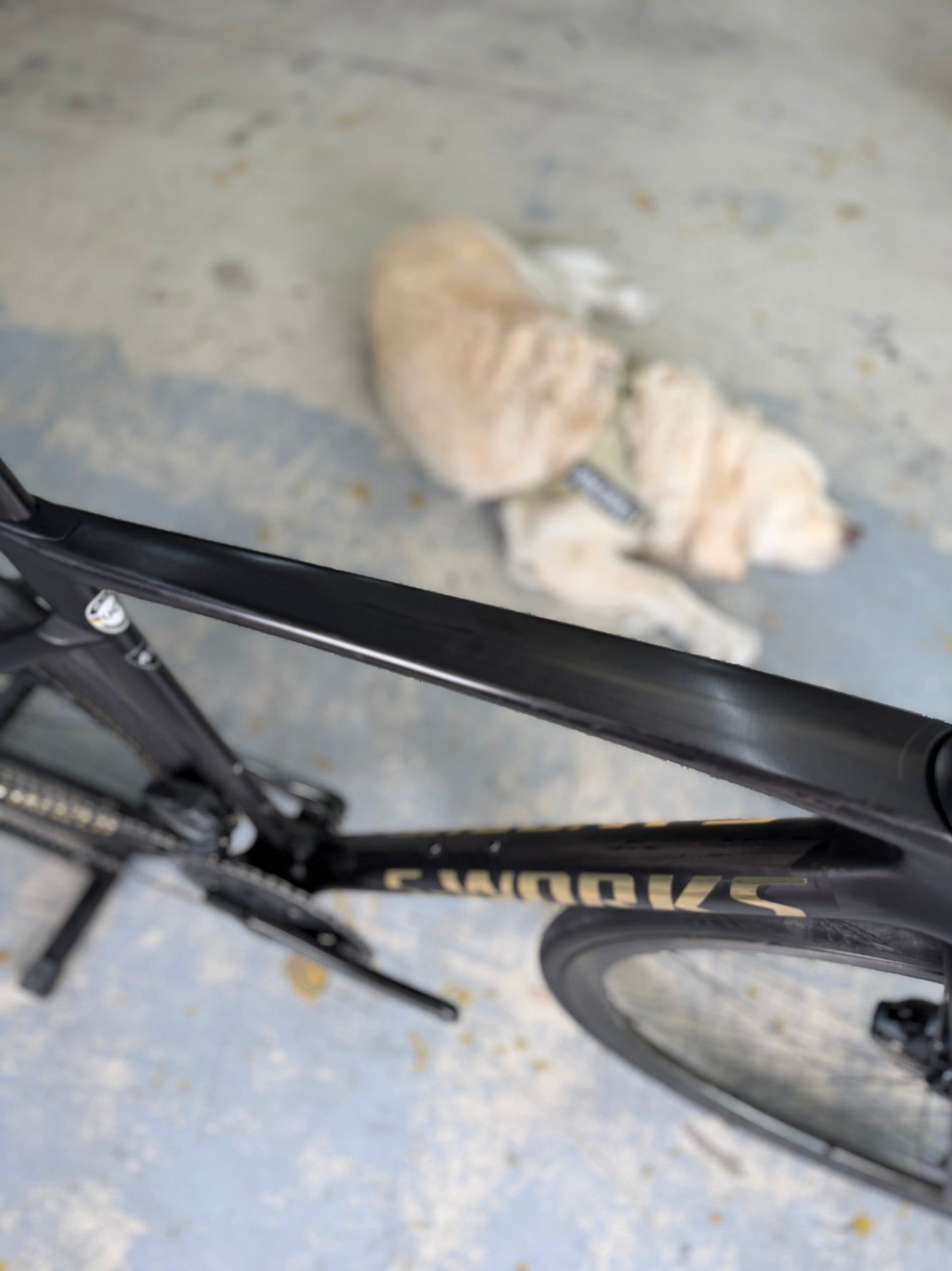 S-Works Tarmac SL7 AXS Carbon Racefiets