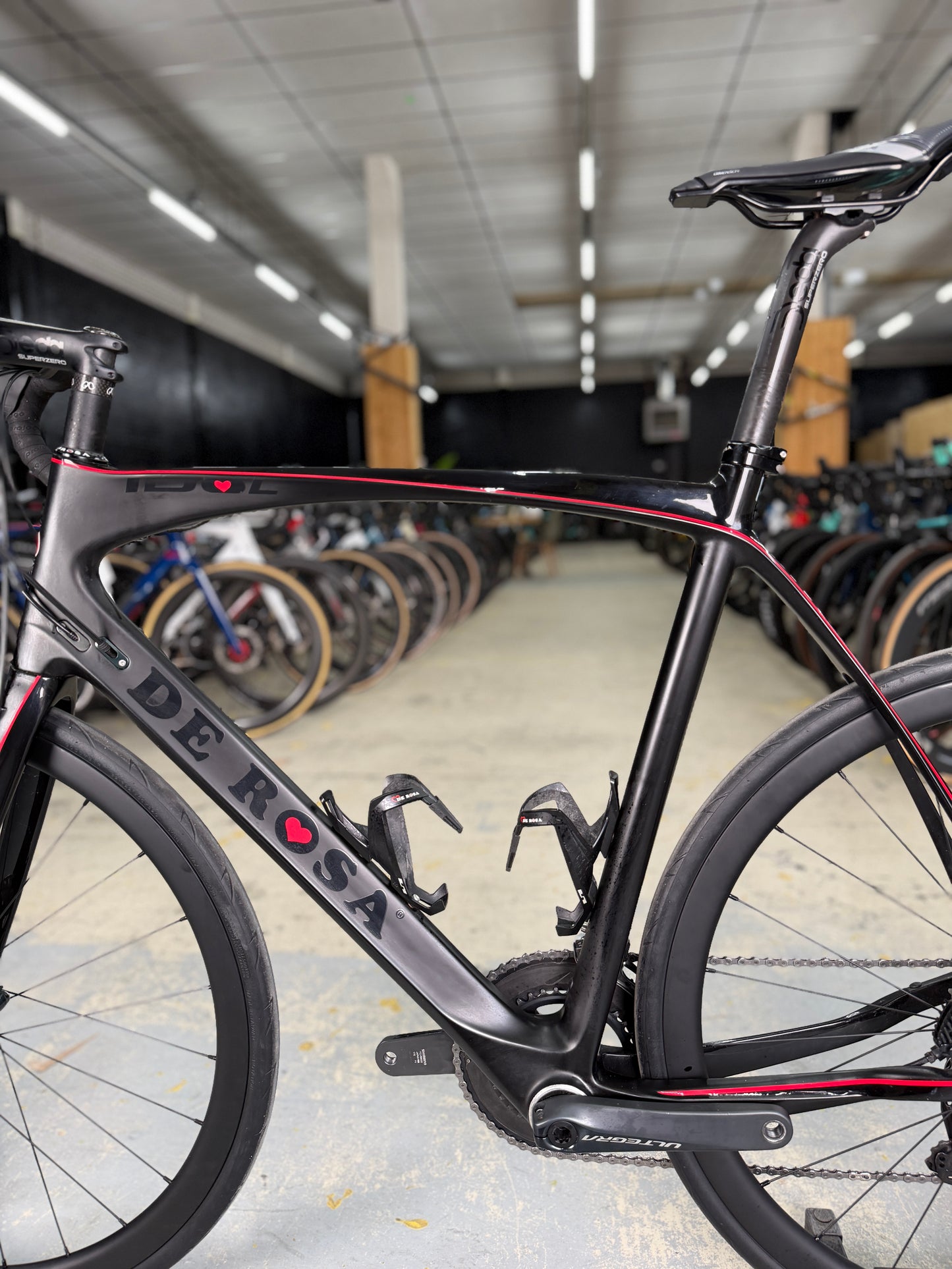 The Rosa Idol Carbon Racing Bike