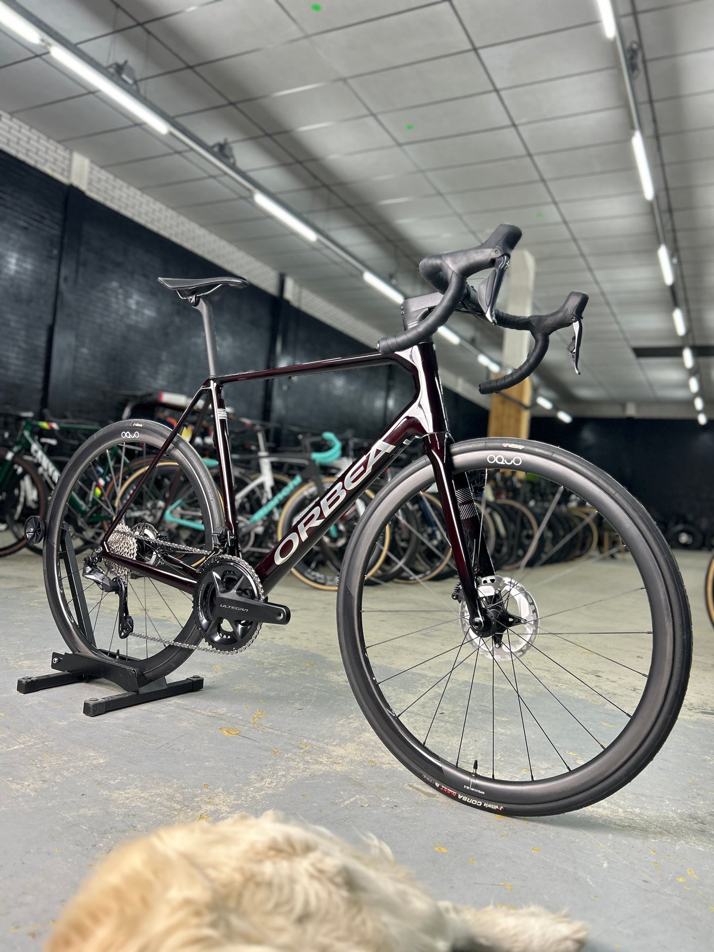 Showroom Model Orbea Orca M20iTEAM Di2 Carbon Road Bike