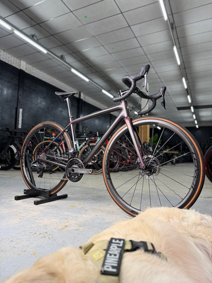 S-Works Aethos AXS Carbon Racefiets