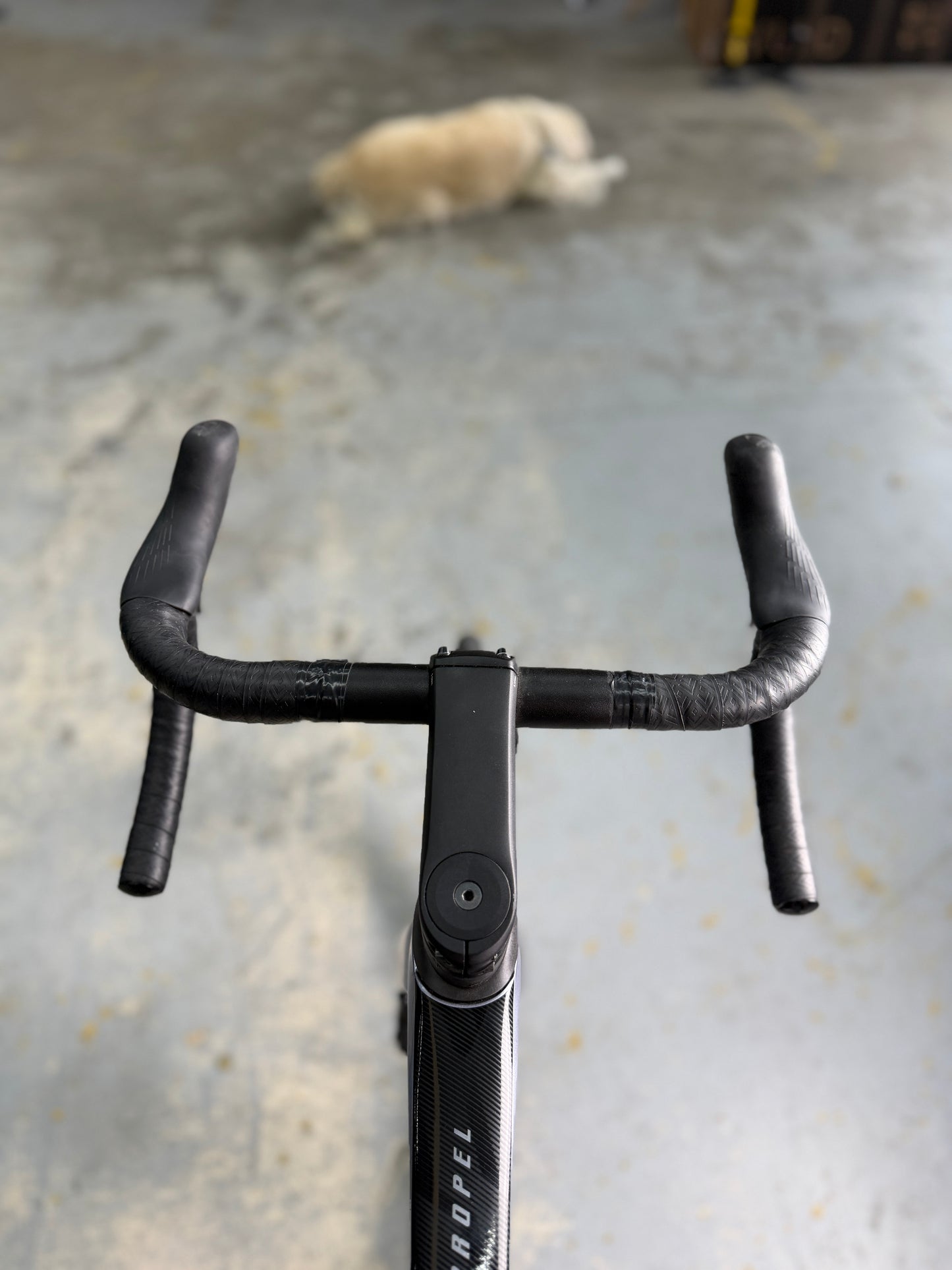 Giant Propel Advanced Pro 0 Di2 Carbon Racefiets