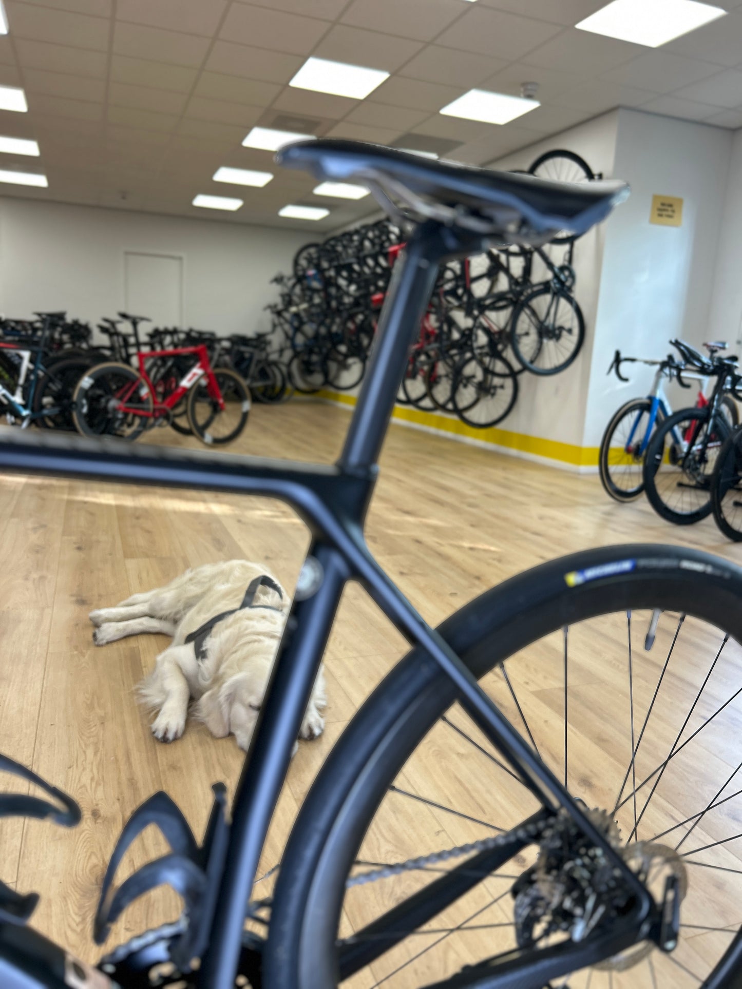 Canyon Endurace CF 7 Carbon Racefiets