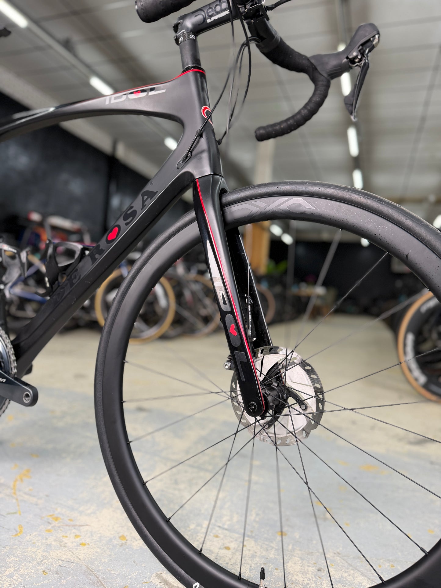 The Rosa Idol Carbon Racing Bike