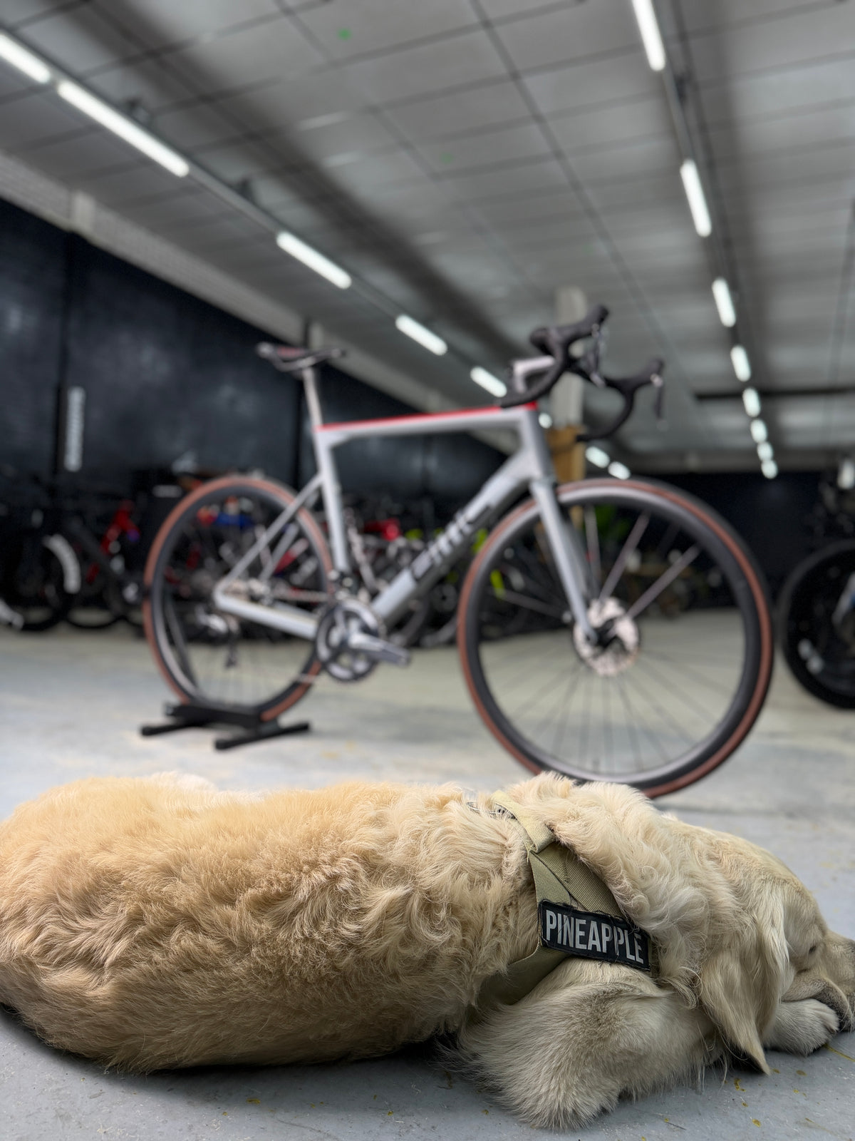 BMC Teammachine SLR01 Di2 Carbon Racefiets