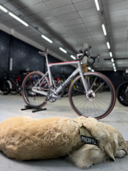 BMC Teammachine SLR01 Di2 Carbon Racefiets