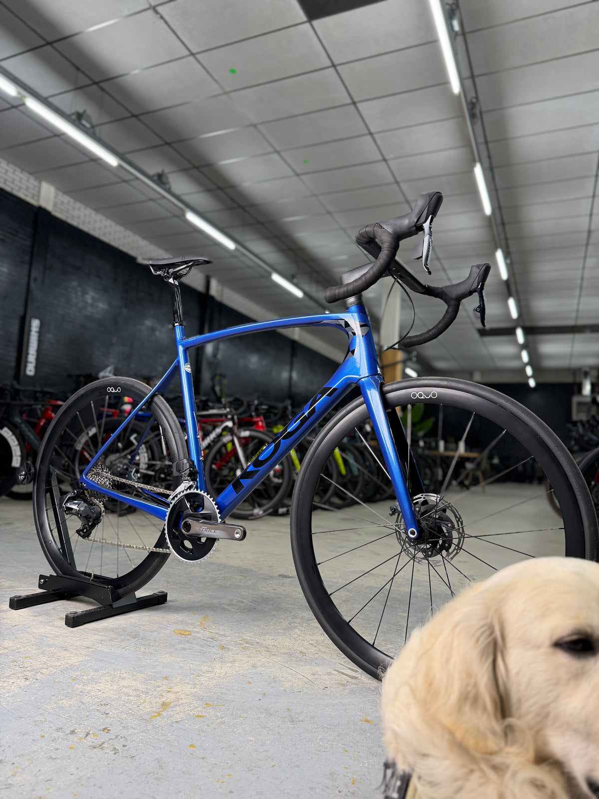 NIEUW Koga Kimera Prime AXS Carbon Racefiets