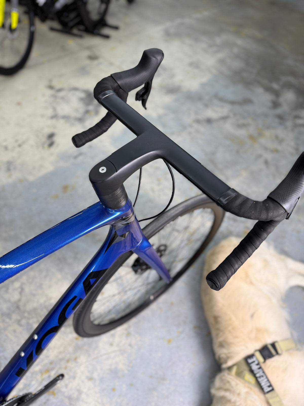 NIEUW Koga Kimera Prime AXS Carbon Racefiets