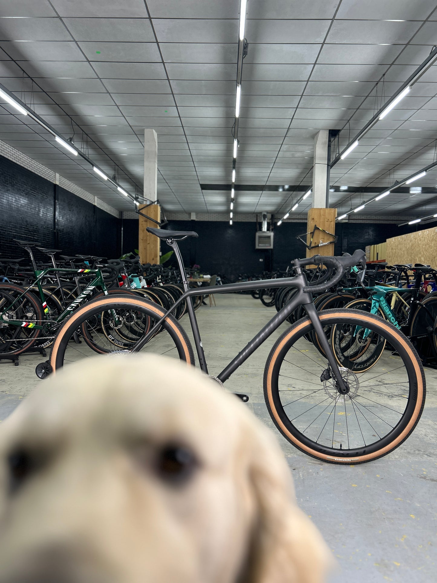 DEMO Specialized Crux Expert AXS Gravel Fiets