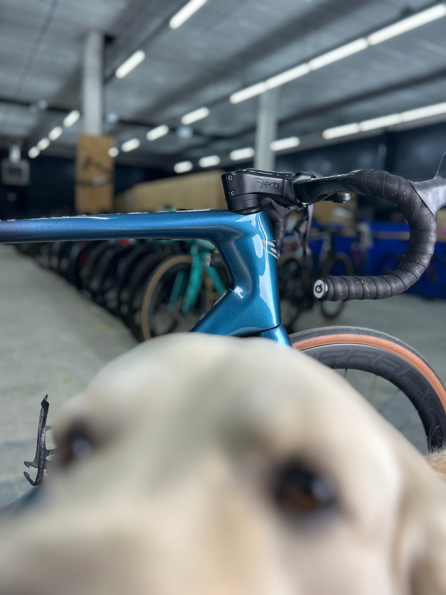 Sensa Giulia Supremo Di2 Carbon Road Bike