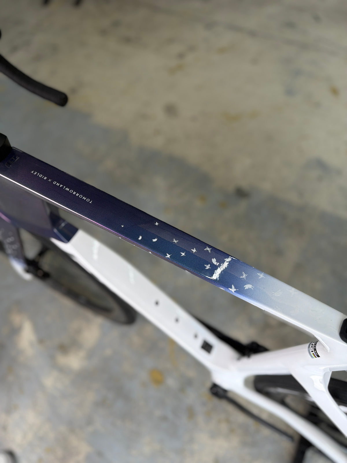 100km Ridley Noah Fast 3.0 AXS Tomorrowland Edition Carbon Racefiets
