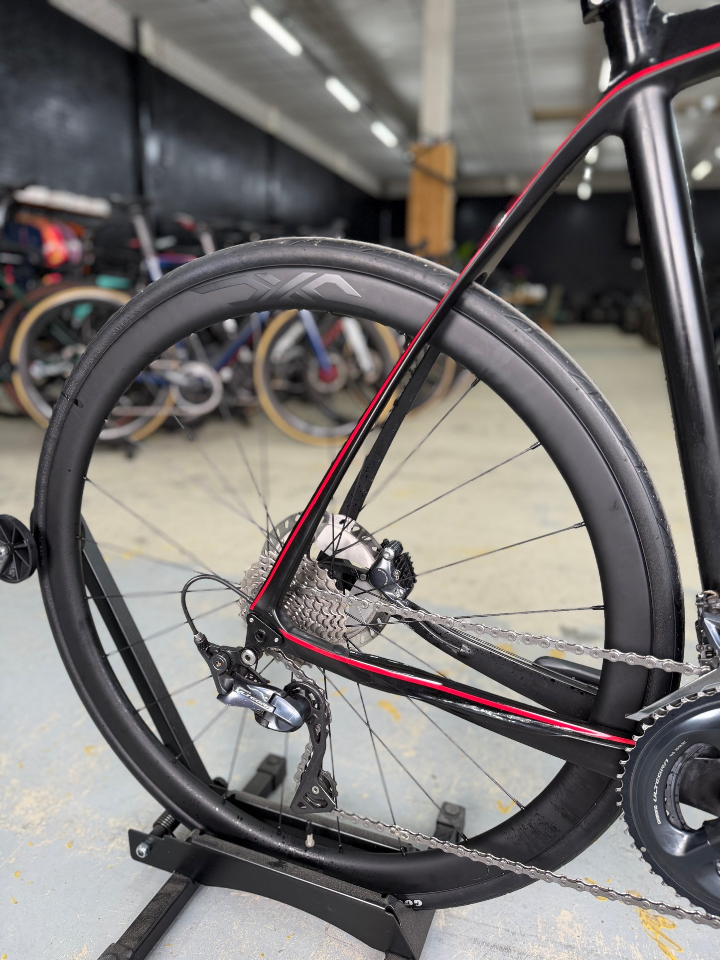 The Rosa Idol Carbon Racing Bike