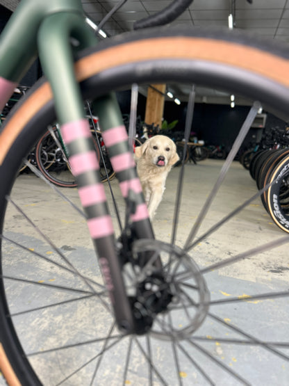 NEW Specialized Crux Expert AXS Gravel Bike