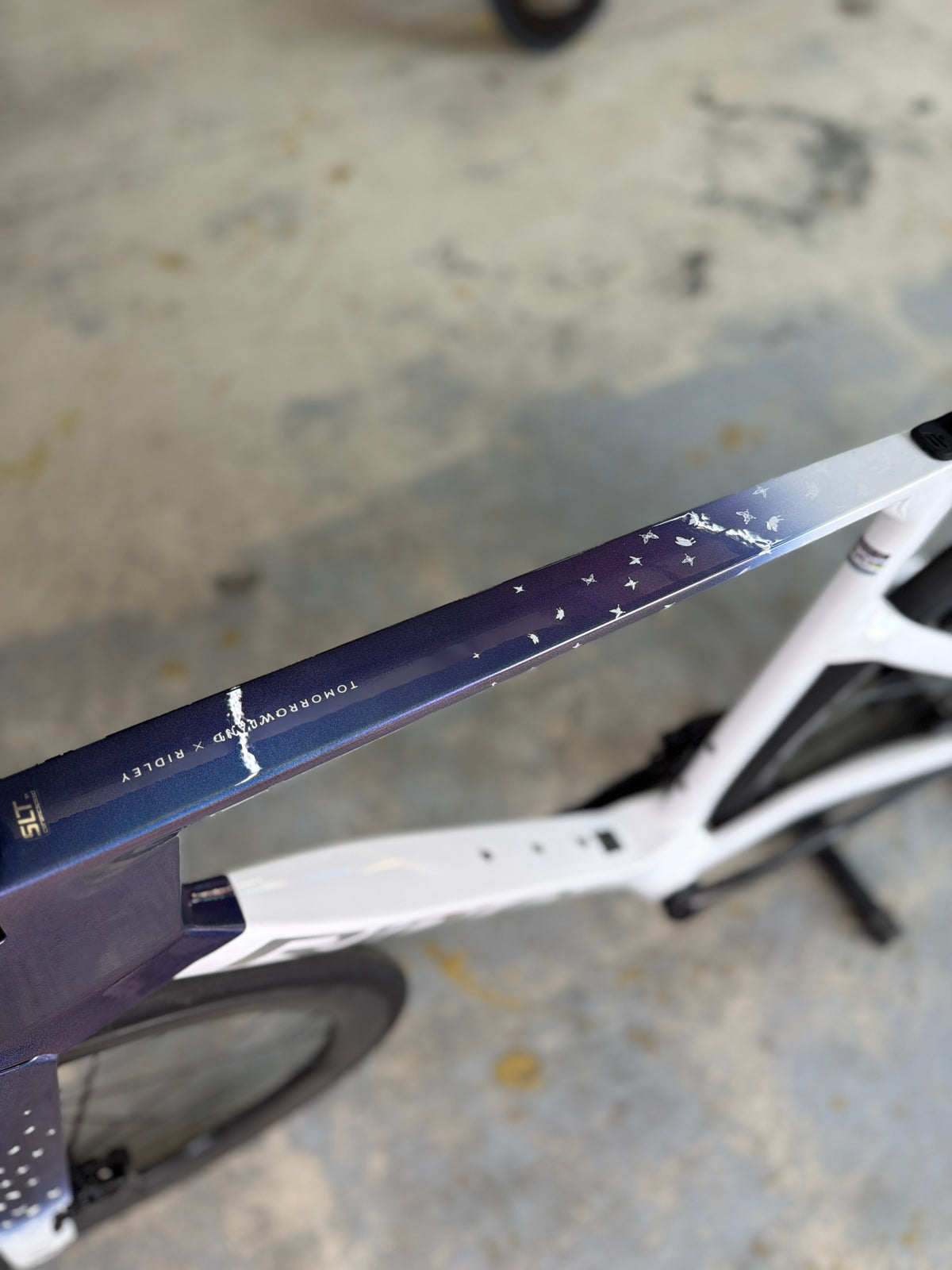 100km Ridley Noah Fast 3.0 AXS Tomorrowland Edition Carbon Racefiets