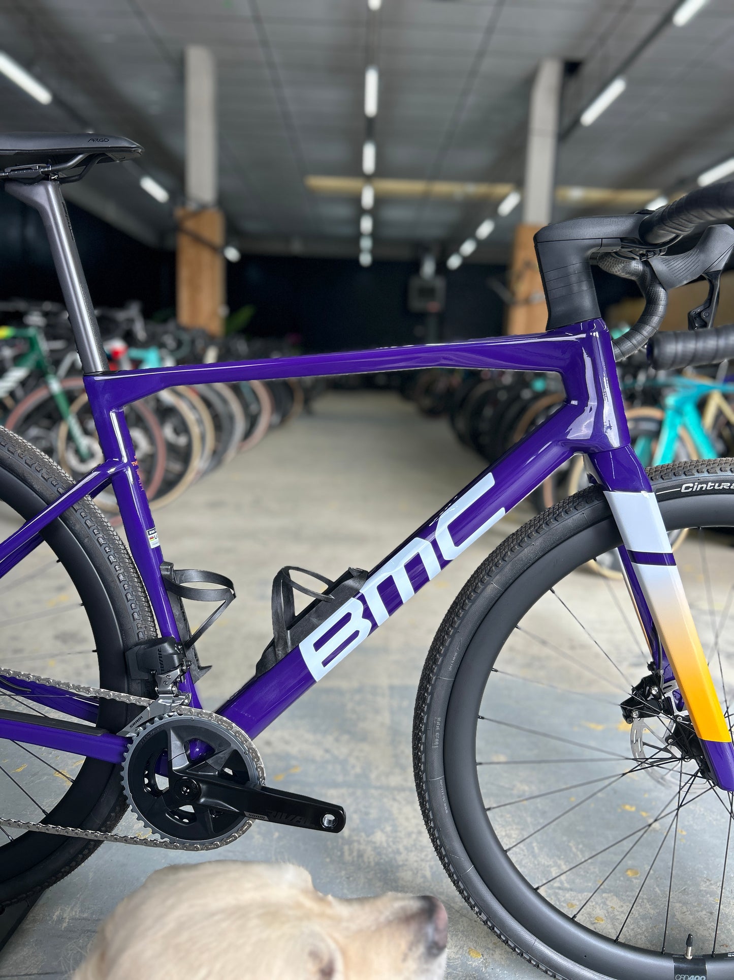 NEW BMC Kaius 01 Three AXS Carbon Road Bike
