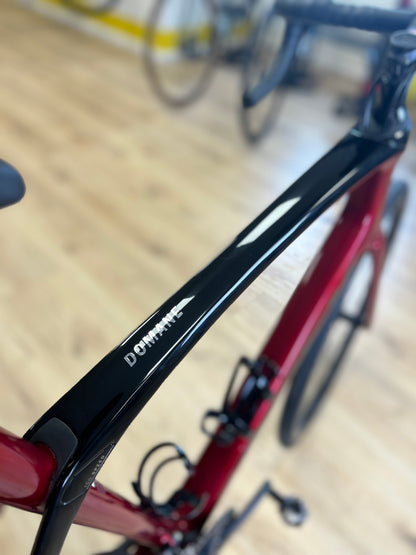 2023 Trek Domane SL6