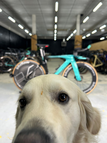 Bianchi Aquila RC Disc Di2 Carbon TT