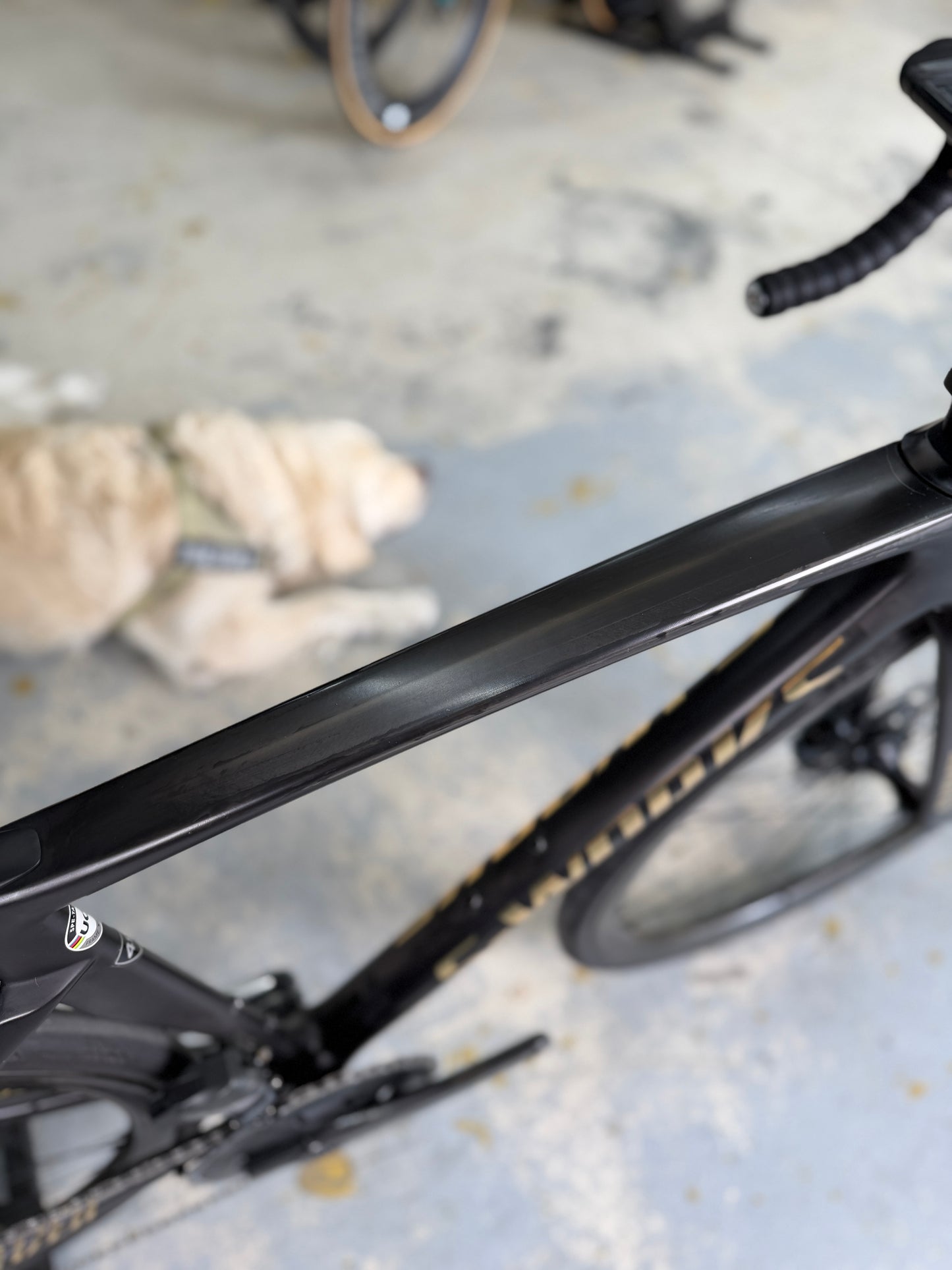 S-Works Tarmac SL7 AXS Carbon Racefiets