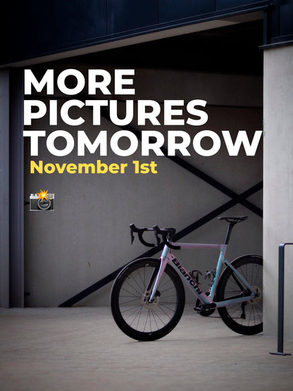 Ridley Fenix SL AXS Carbon Racefiets