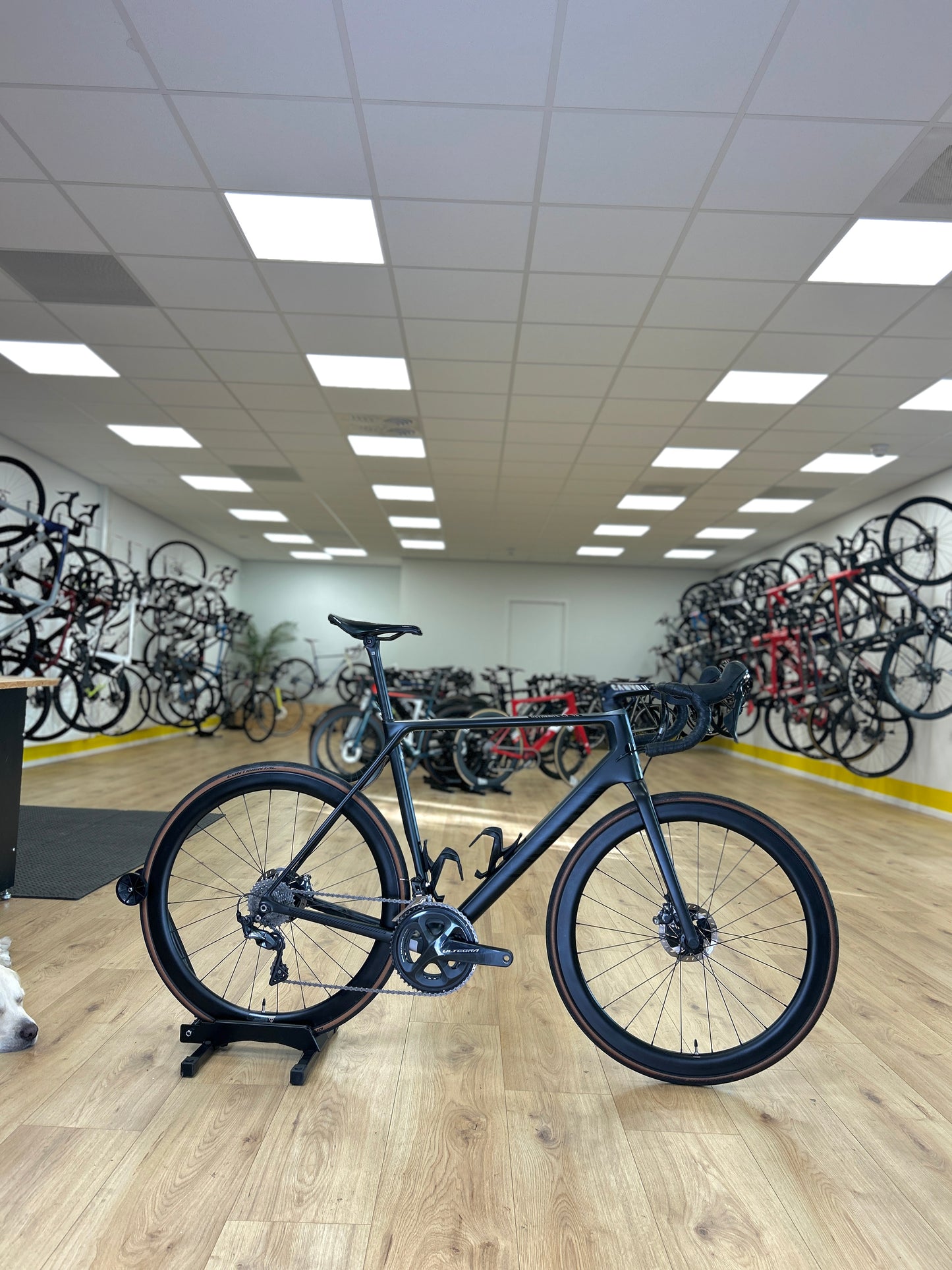Canyon Ultimate CF SL Disc Carbon Racefiets