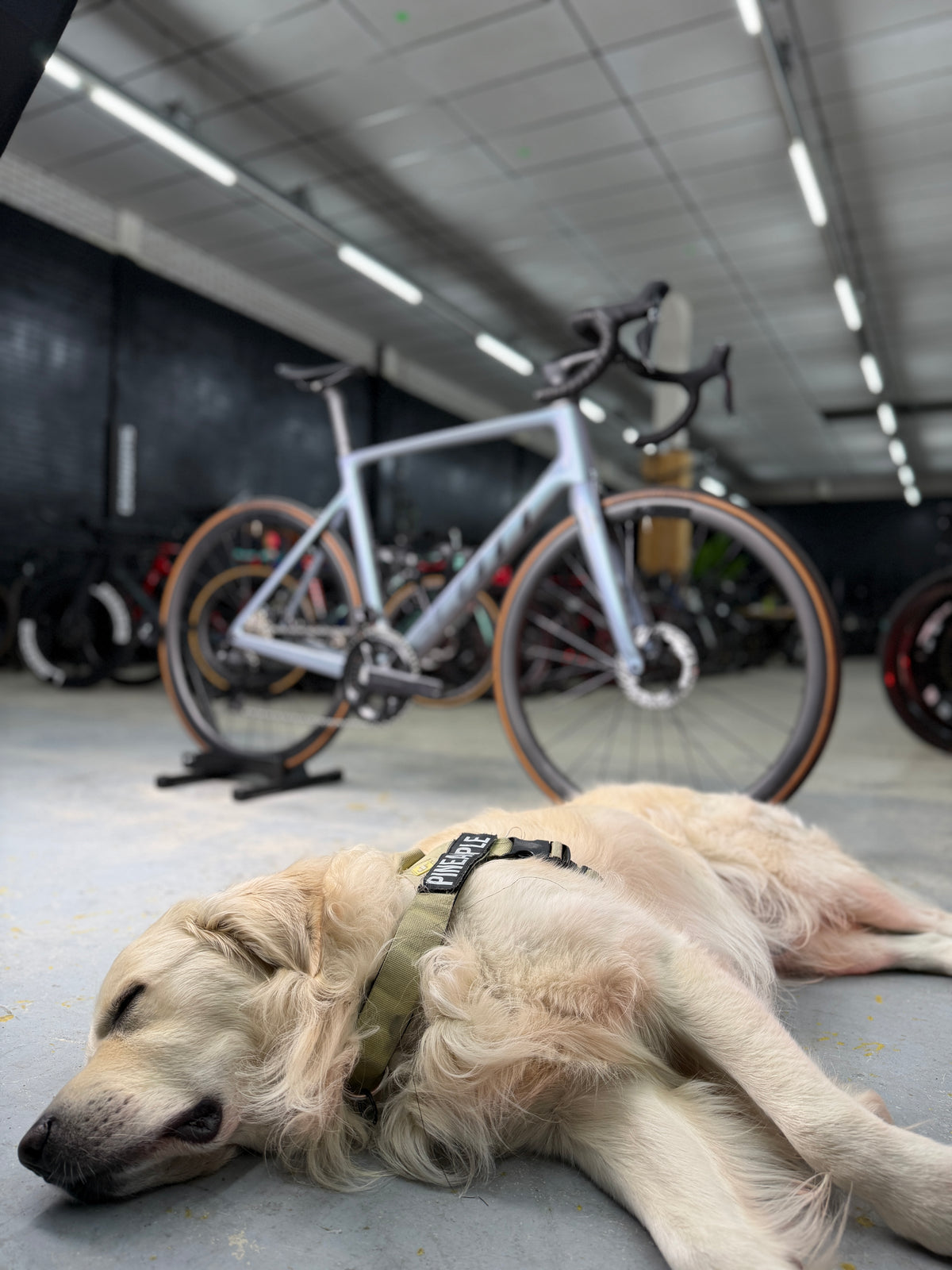 Scott Addict RC15 Di2 Carbon Racefiets