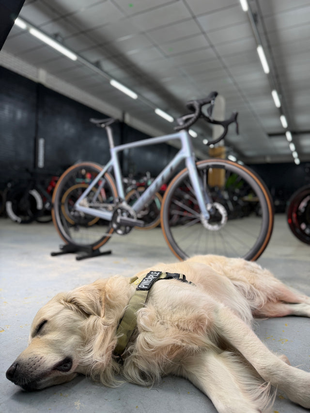 Scott Addict RC15 Di2 Carbon Racefiets