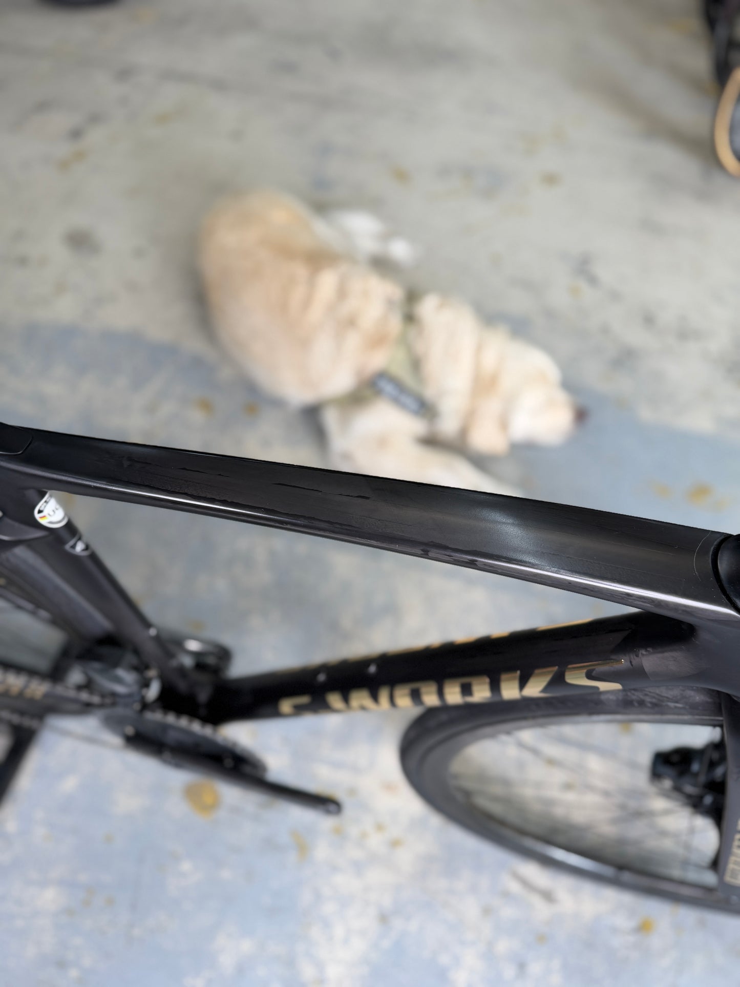 S-Works Tarmac SL7 AXS Carbon Racefiets